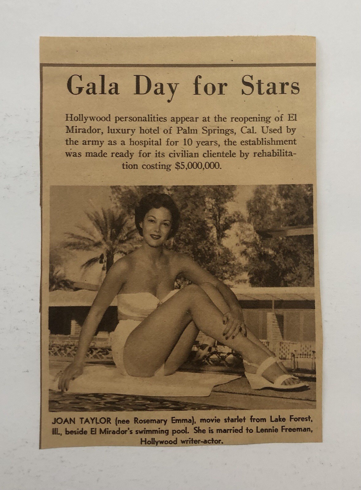 Vintage Hollywood Actress Joan Taylor Magazine Clipping