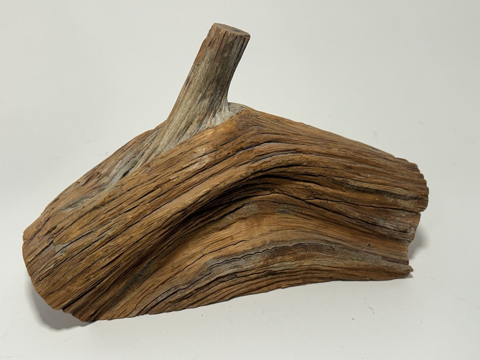 Vintage Hand Carved Natural Wood Lidded Box Rustic Sculptural Branch Handle