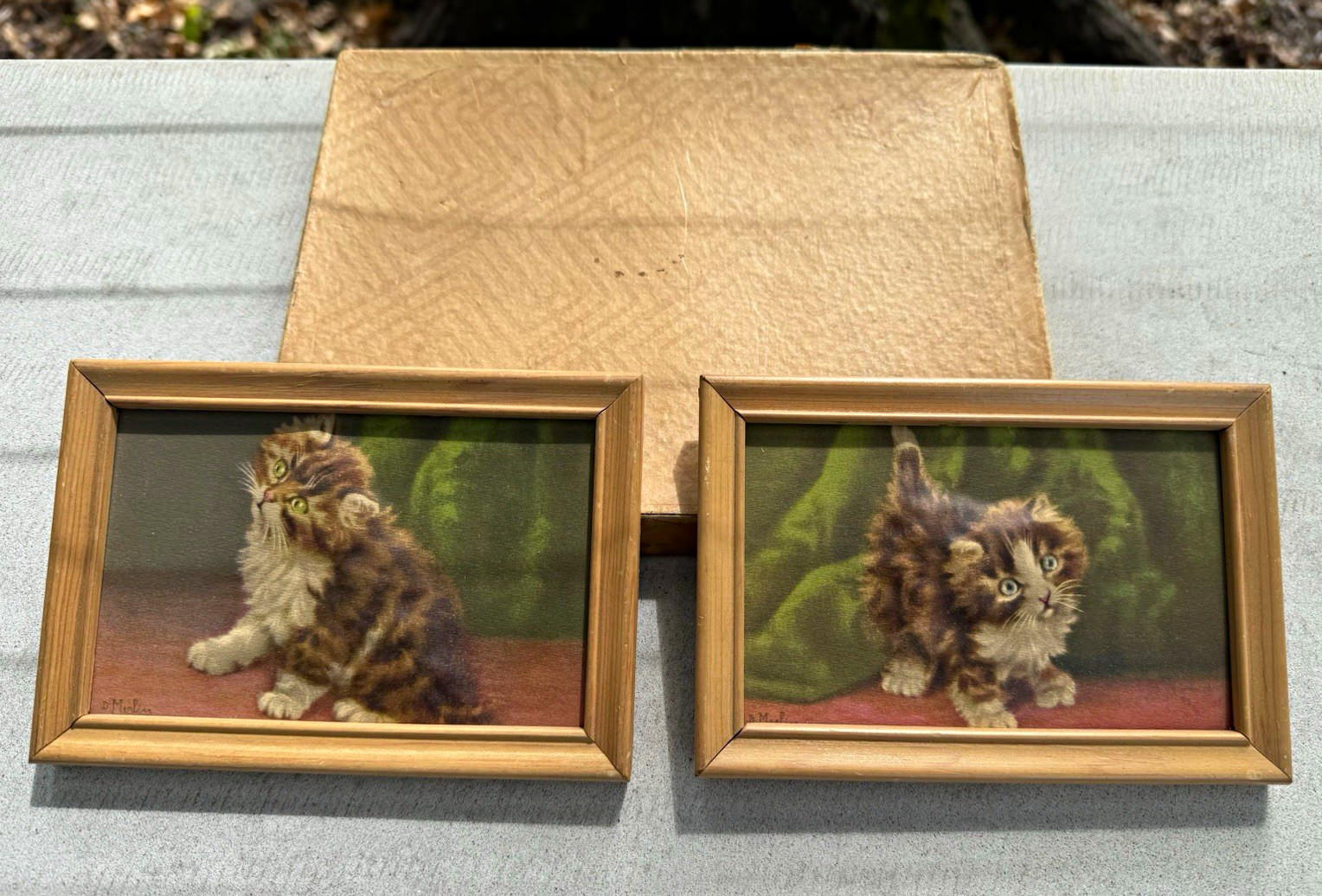 Pair of Framed Atlas Embossed Picture Company 3D Kitten Prints by Daniel Merlin