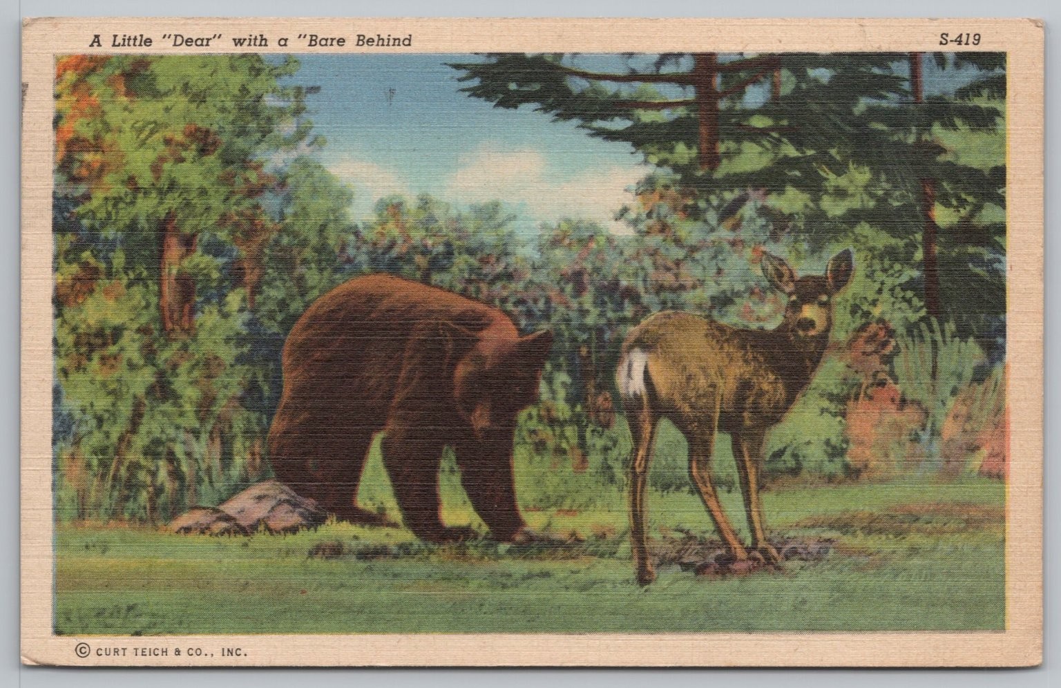Little Deer Bear Behind 1946 Linen Humor Postcard Posted Fort Frances Ontario