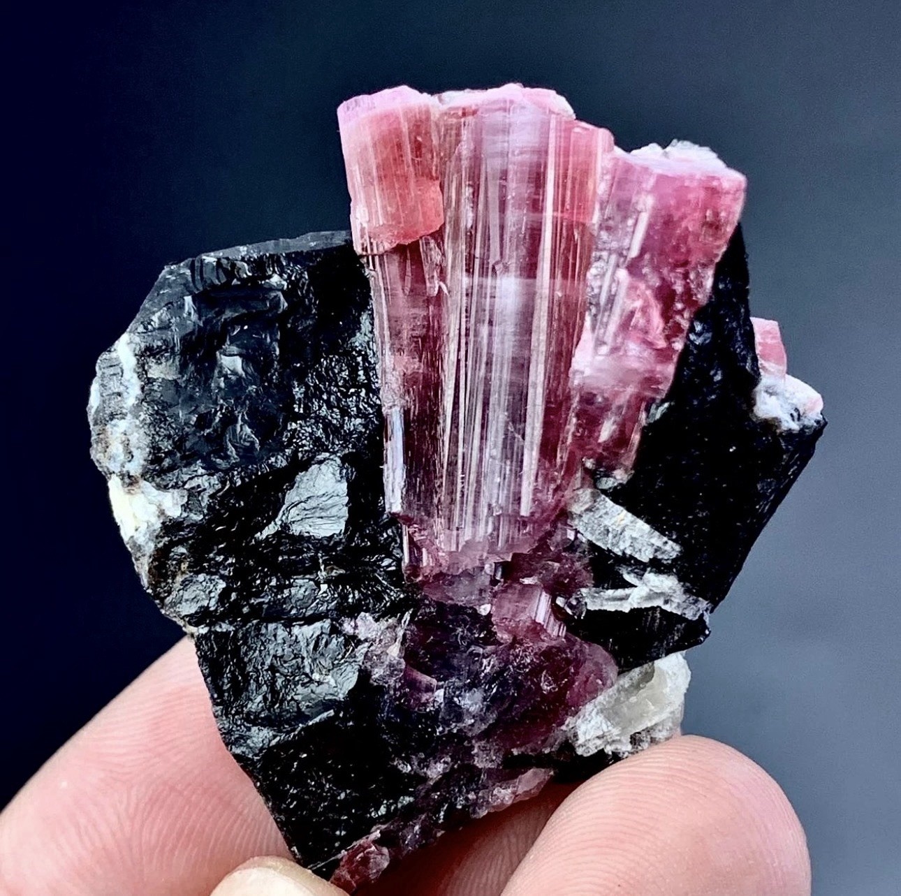 85 Carat Pink Tourmaline Crystal On Smoky Quartz Specimen From Afghanistan