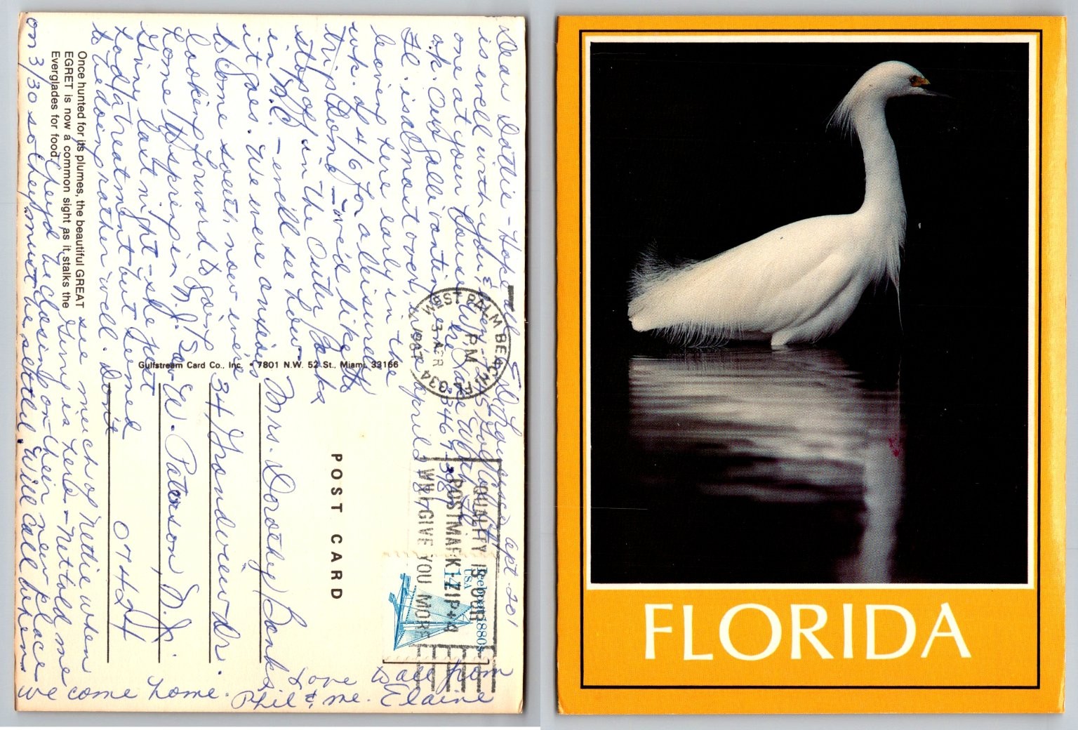 Florida Snowy Egret Bird Postcard 1987 Everglades Wildlife Nature Scene