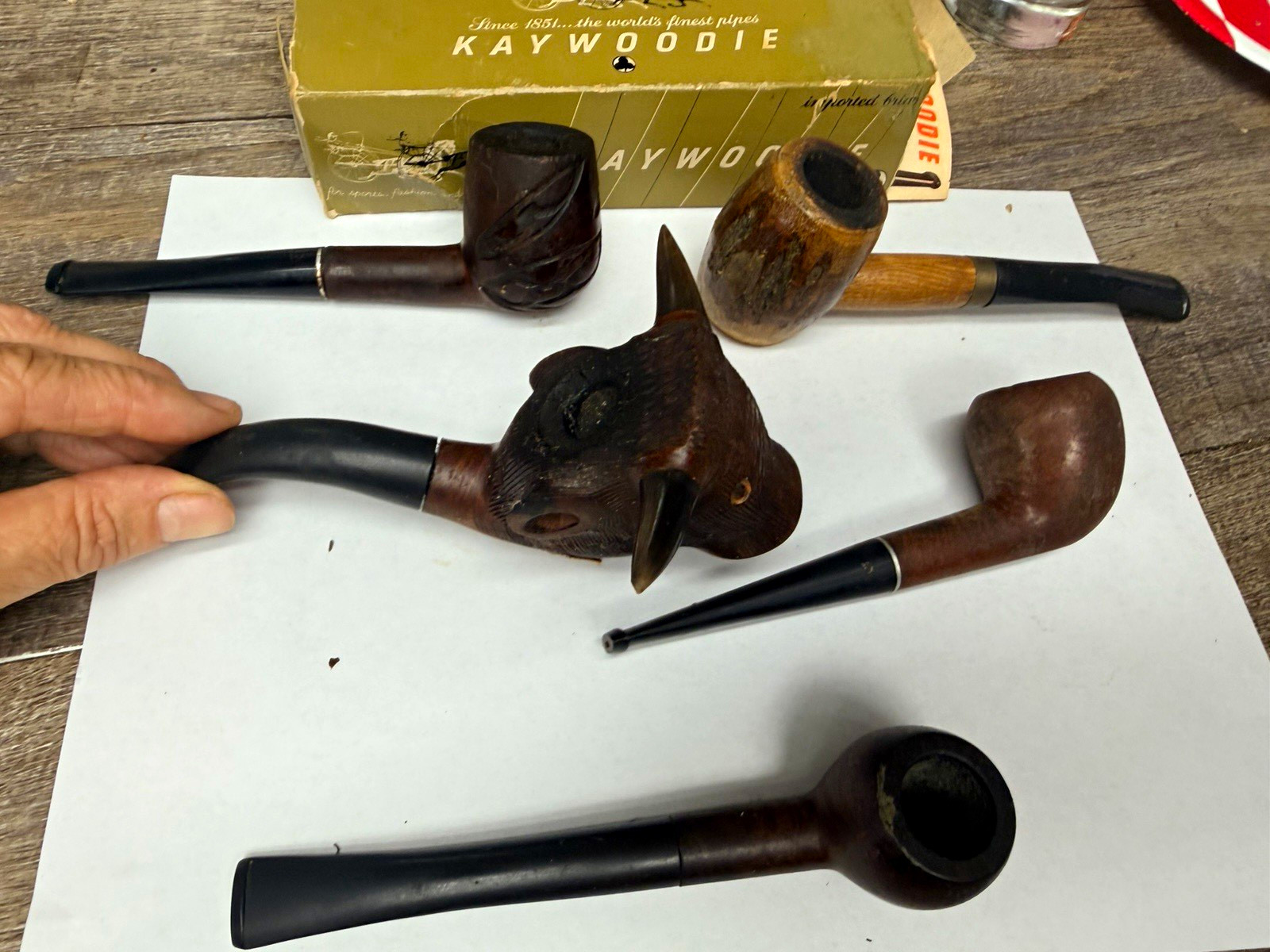 Lot of 5 Vintage Estate Tobacco Smoking Pipes w/ Box, Carved Bull Head
