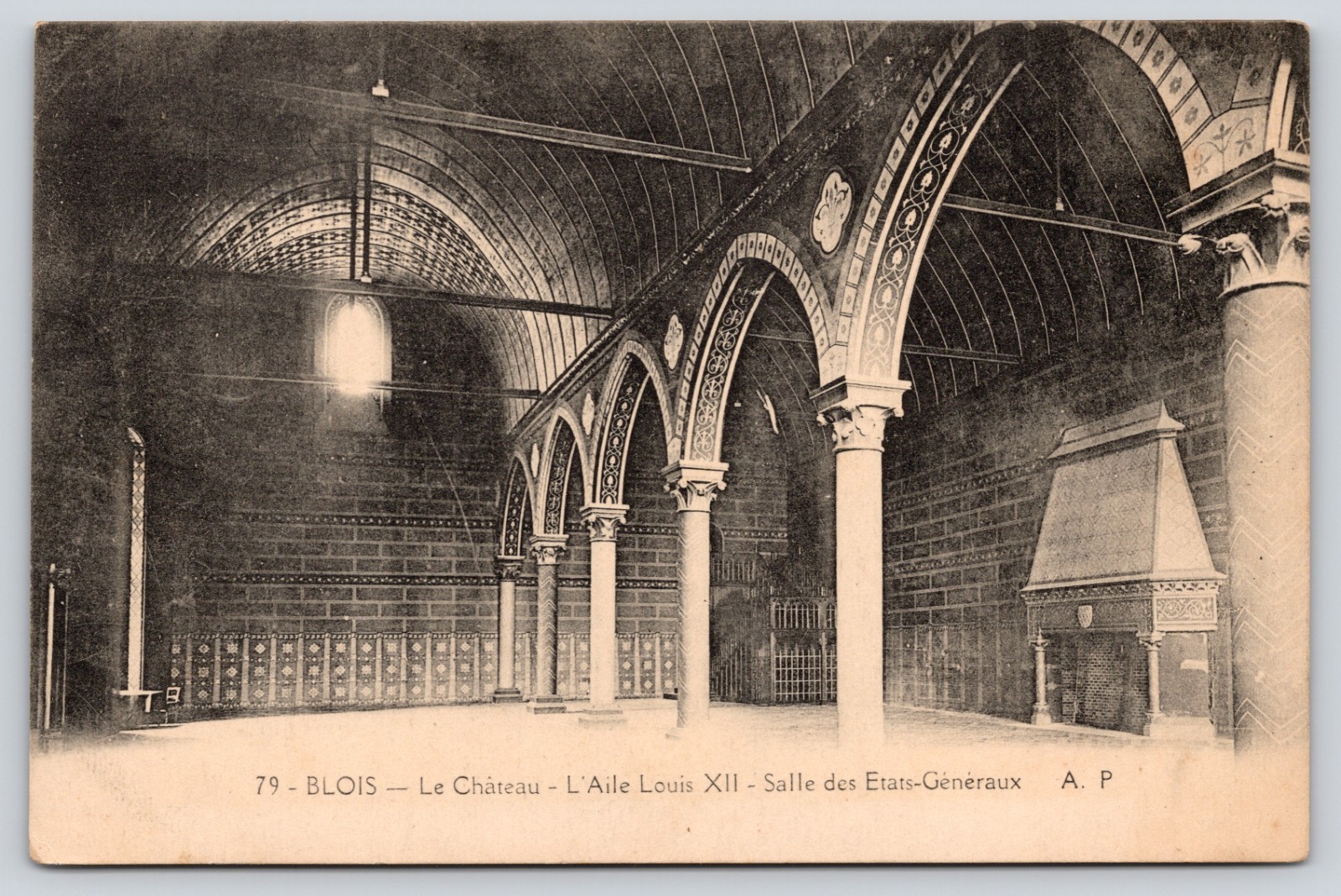 Salle des Etats Generaux Louis XII Wing Chateau de Blois France Postcard
