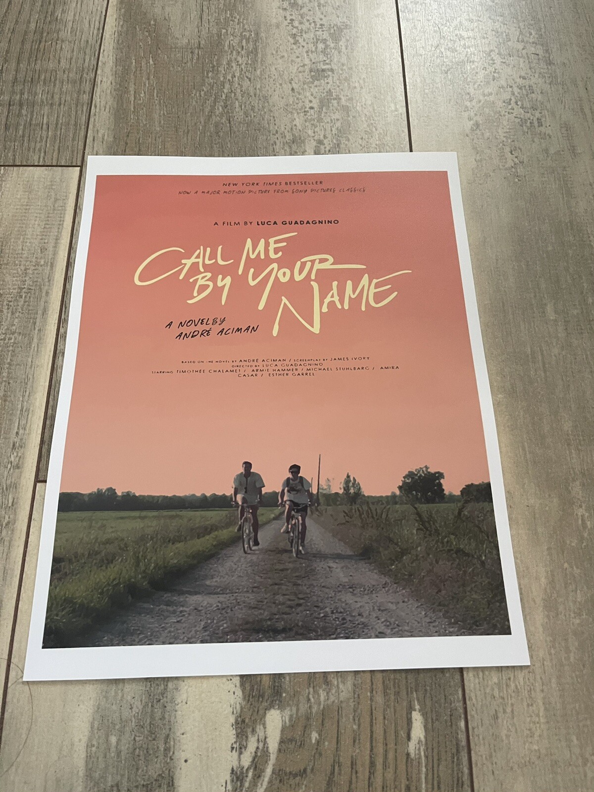 CALL ME BY YOUR NAME Art Print Photo 8
