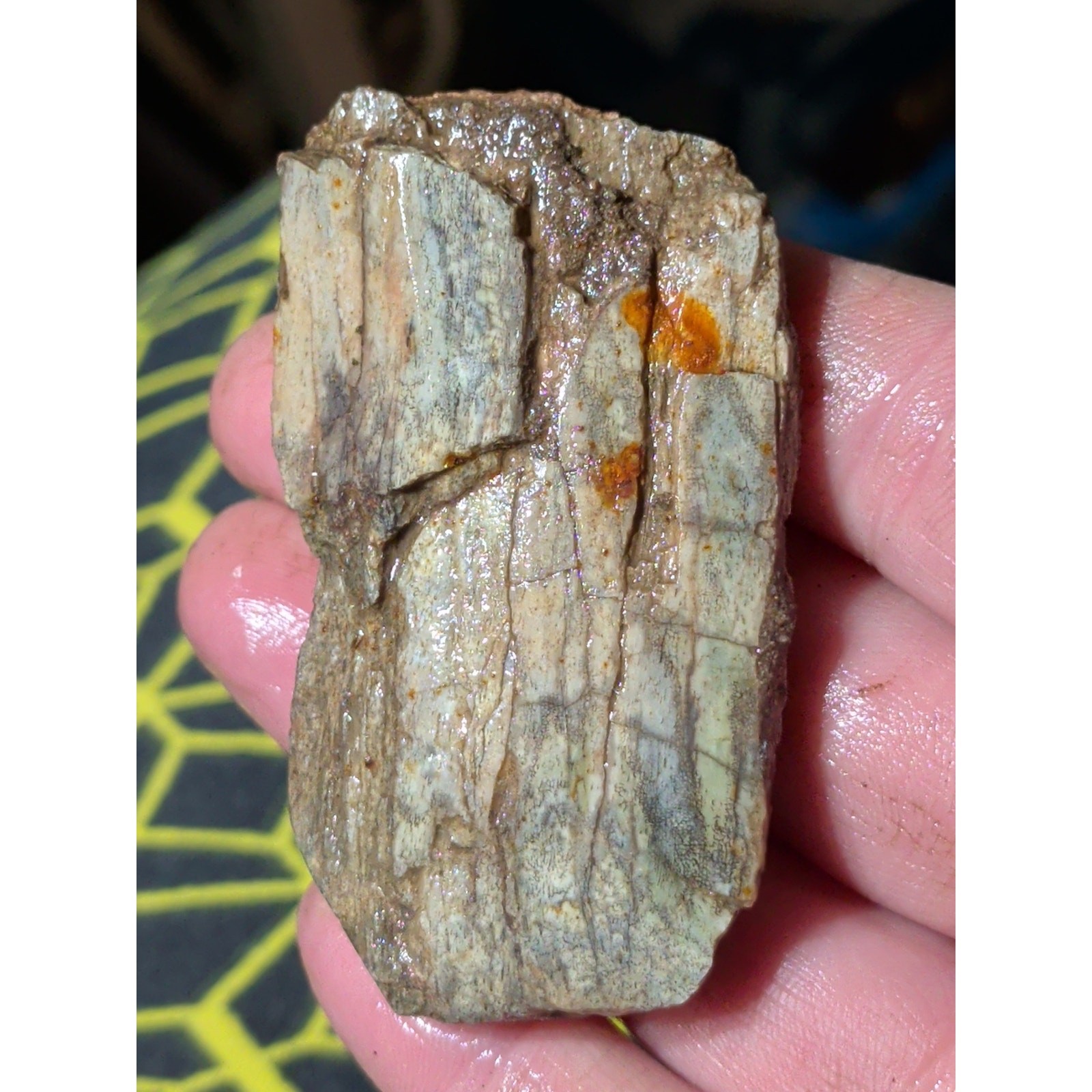 Gem Bone Semi Polished Specimen (51 Grams)