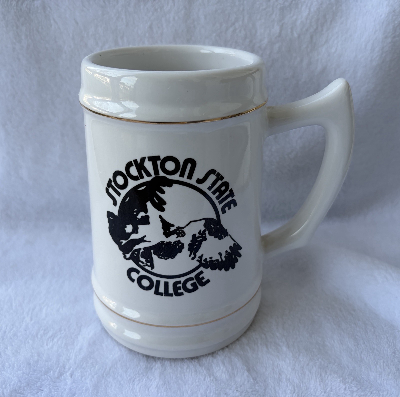Vintage Stockton State College Galloway NJ Ceramic Stein Mug rare