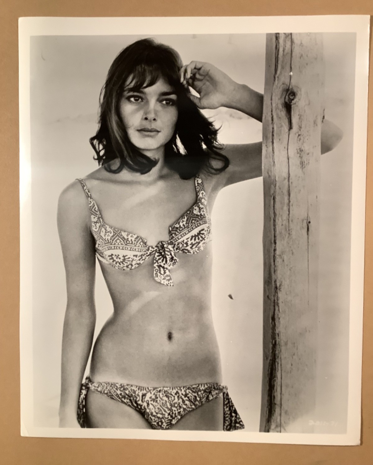 Bikini pinup photo sexy British actress Rosemary Dexter “House of Cards” 1968