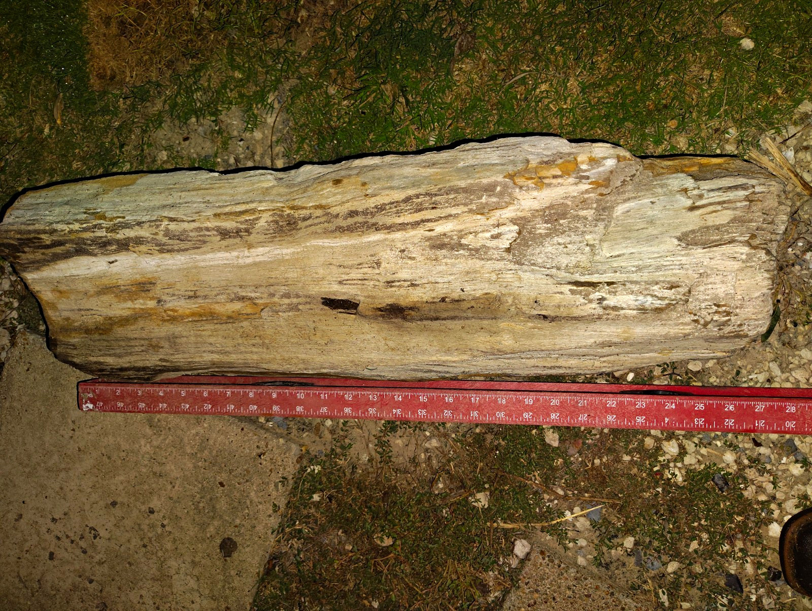 Large Petrified Wood Log Fossil Specimen Natural Display Piece, Approx 29 in