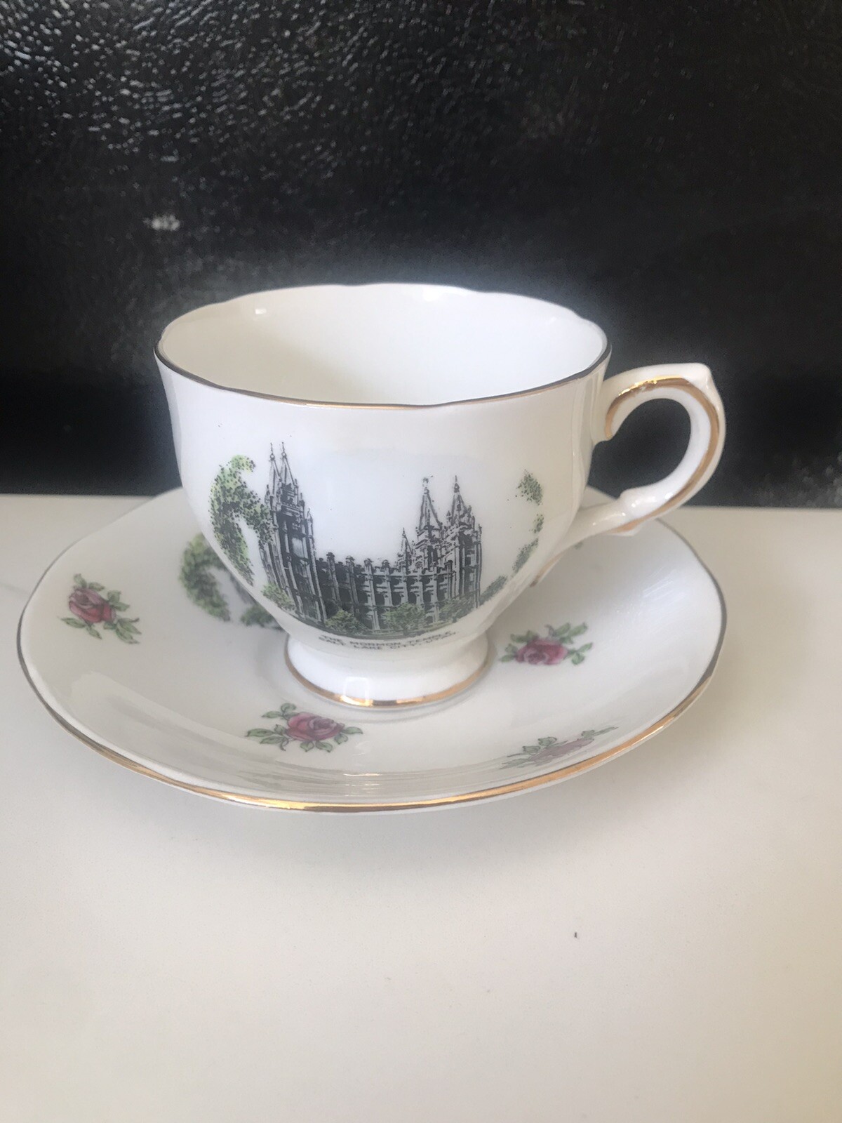 Vtg Salisbury England Tea Cup & Saucer Set The Mormon Temple NEW COND