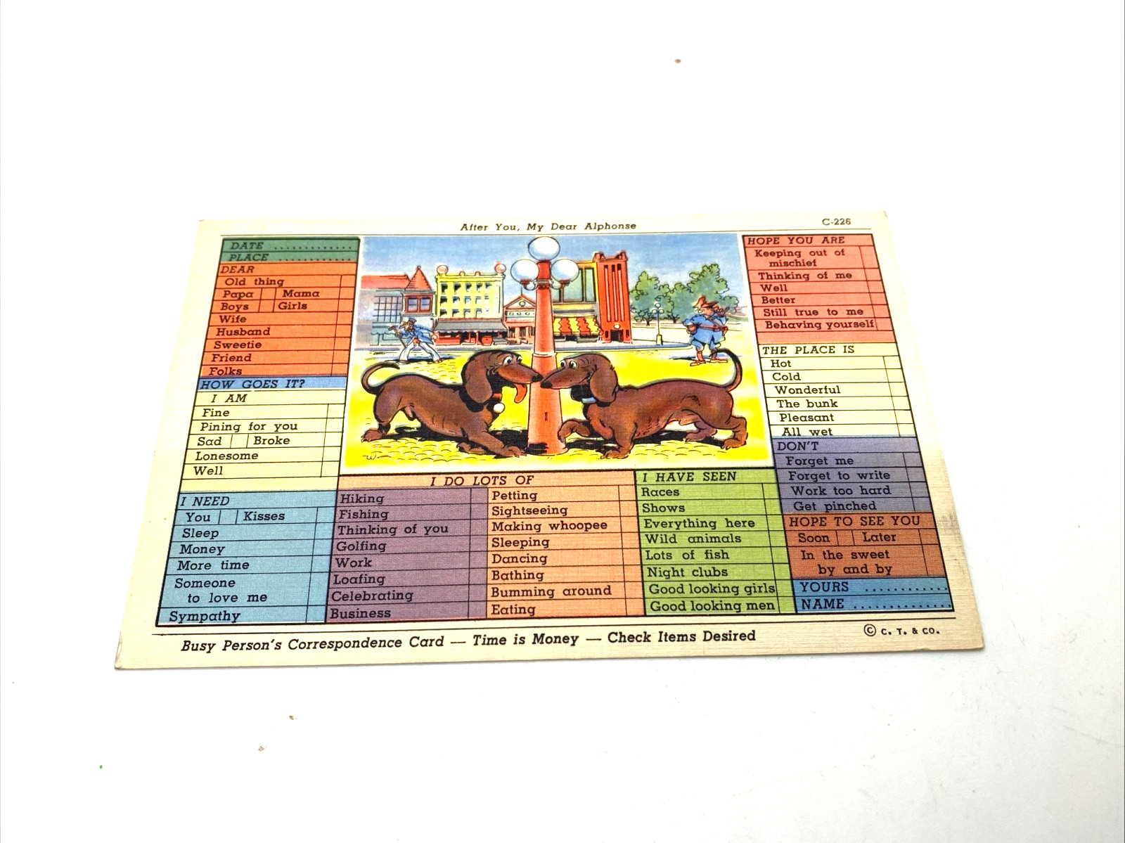 Vintage Early Postcard Busy Person's Correspondence 