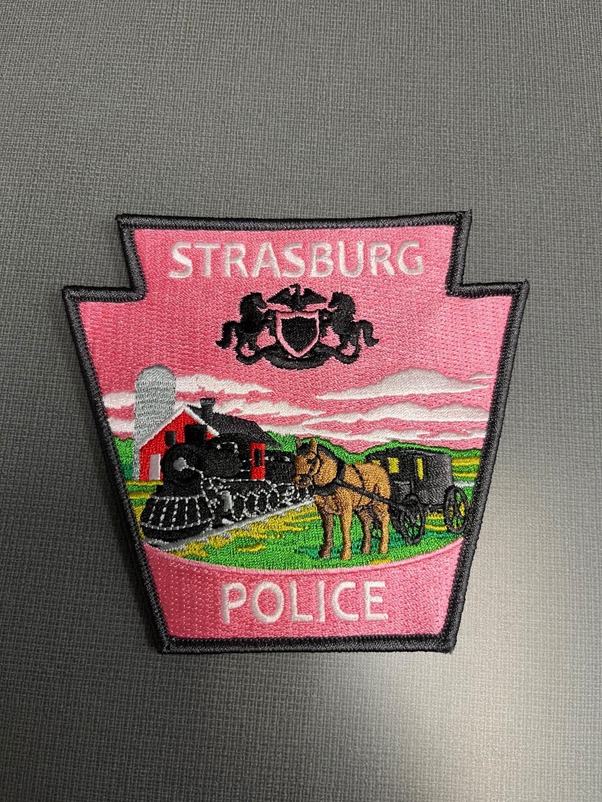 Strasburg Borough PA Police Pink Patch 2026