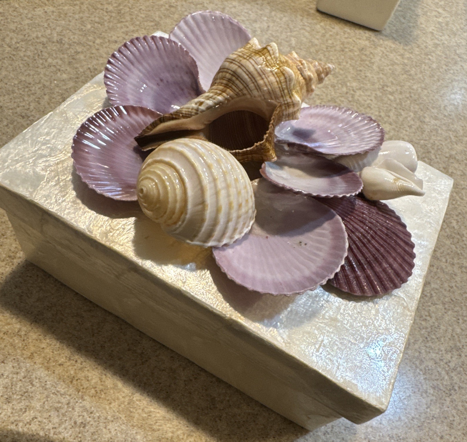 Sanibel Island Sea Shell Covered Trinket Wedding Decor Handmade Ocean Treasures