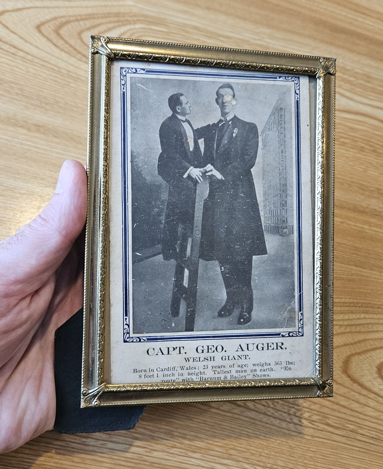 Antique Capt Geo Auger Welsh Giant Circus Sideshow Pitch Card Barnum Bailey NYC