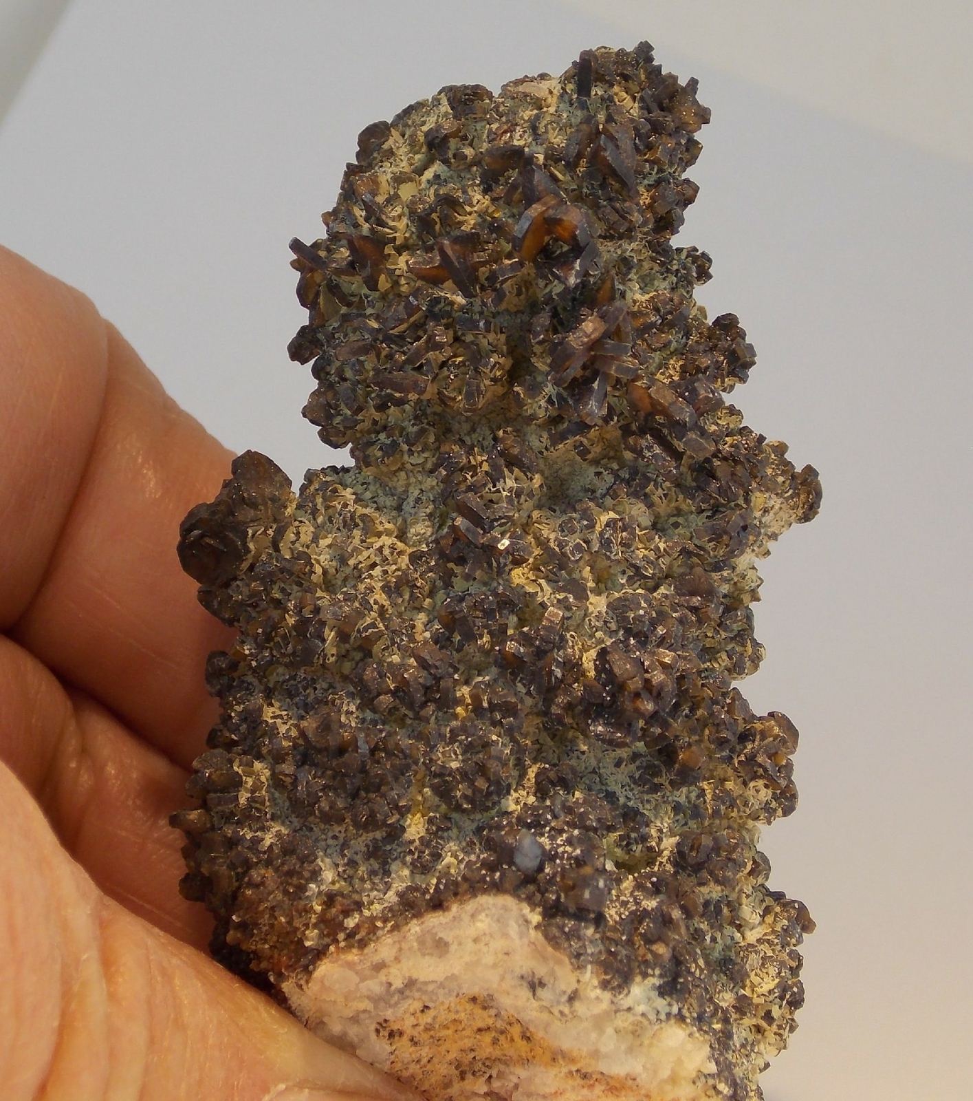PYROMORPHITE and DESCLOIZITE CRYSTALS - 7.3  - TSUMEB MINE, NAMIBIA 25650