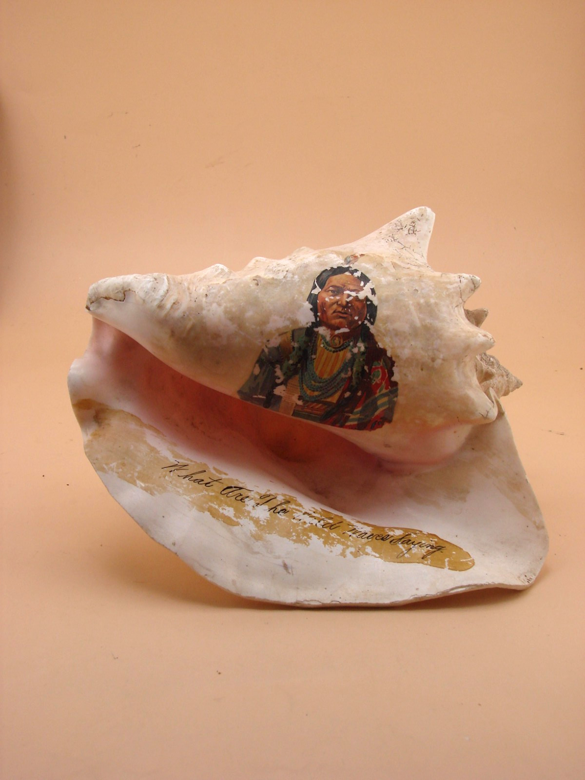 Vintage Hand Painted Conch Shell Souvenier 9 x 7