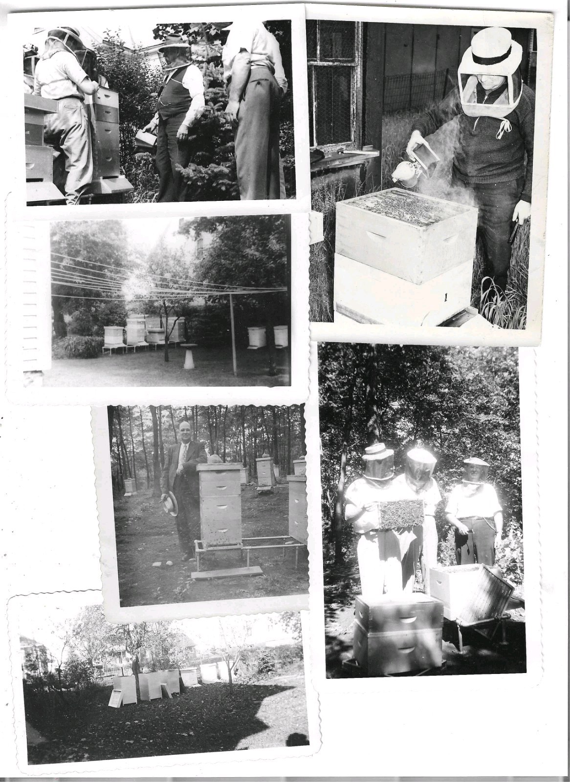 14 1940s Beekeeping Photo Snapshot Lot Apiary Beekeeper Vintage Hive Bees