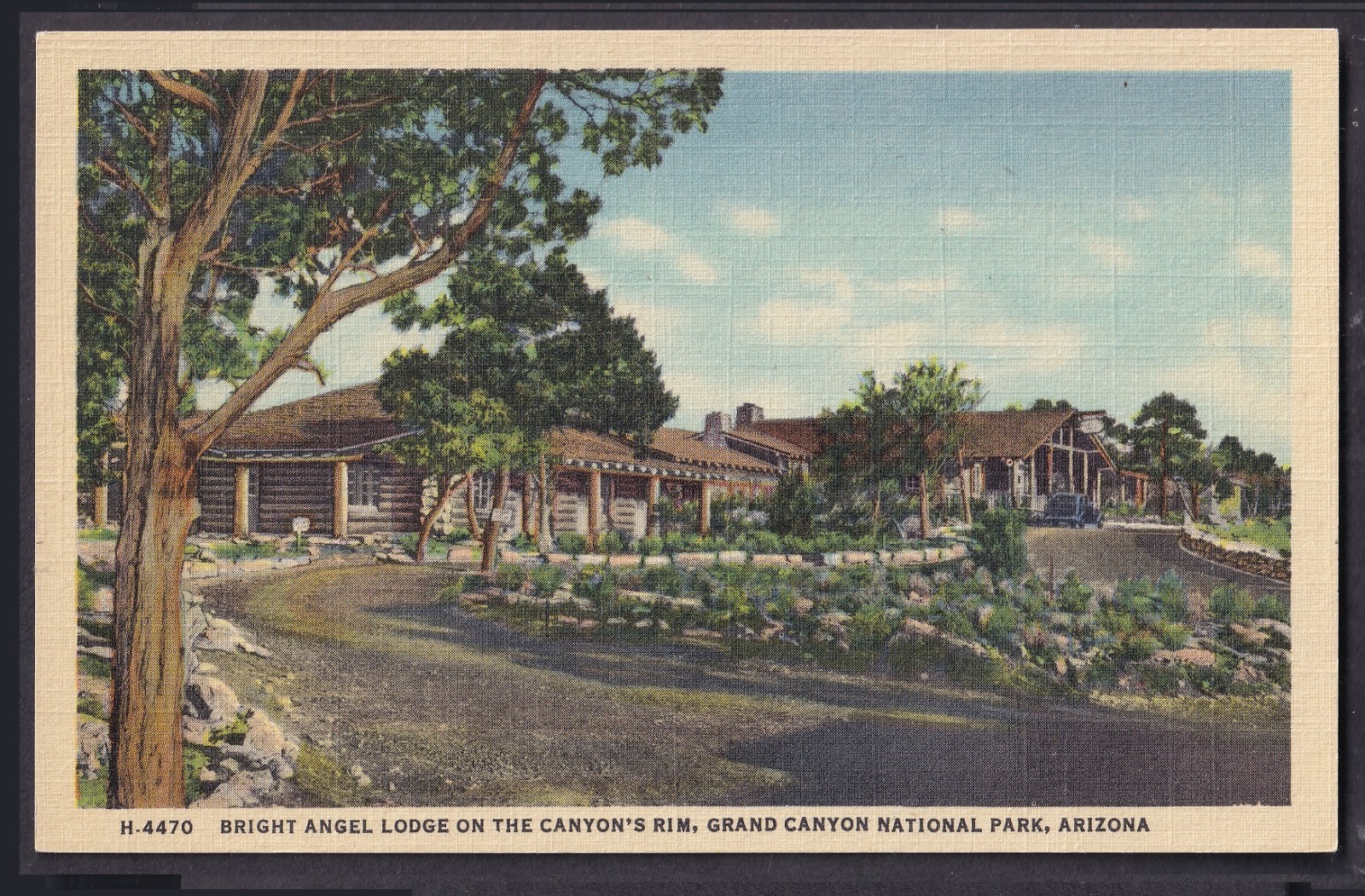 Grand Canyon Vintage & Antique Postcards ▲ You Pick