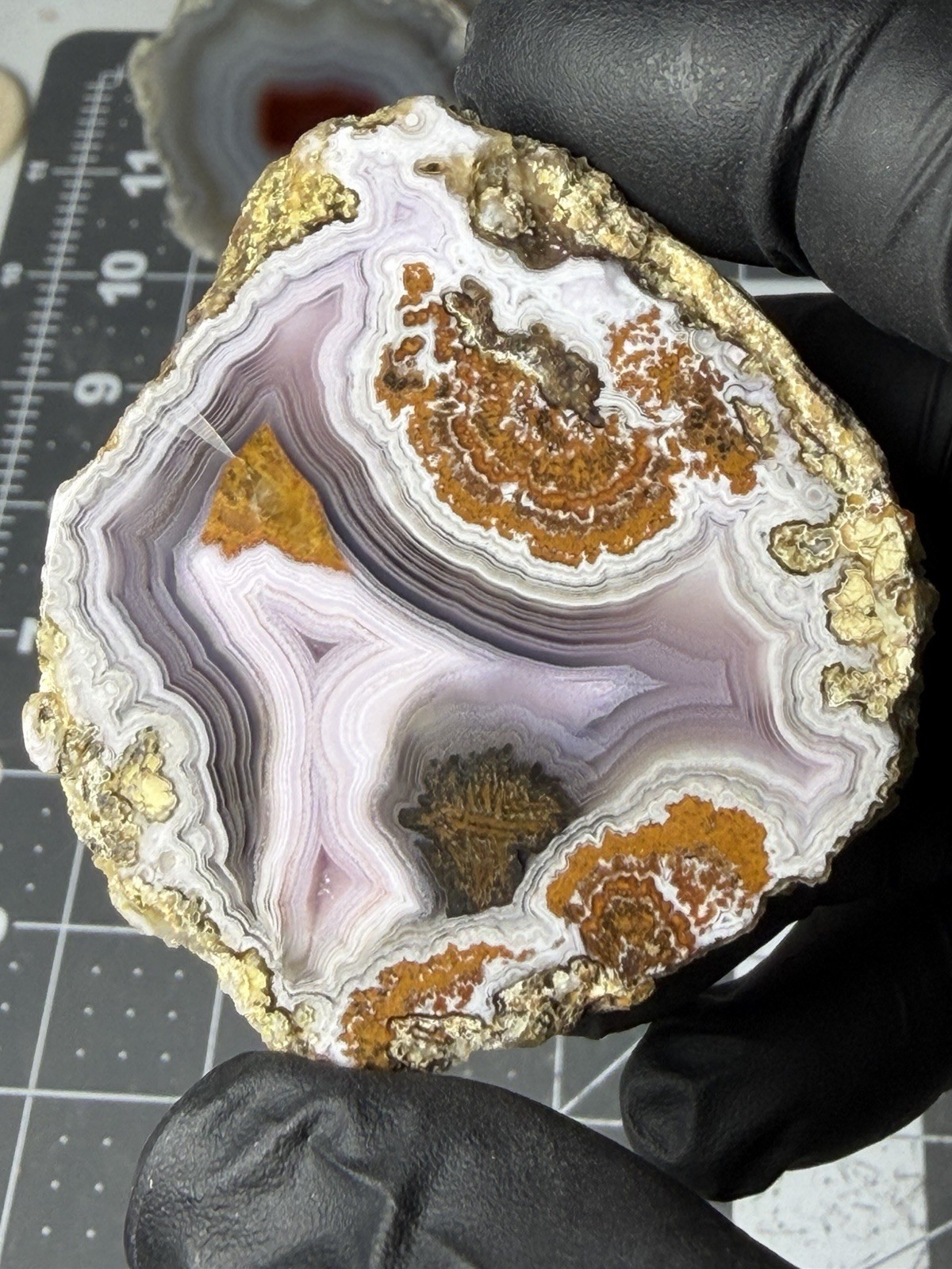 Stunning Laguna Agate Purple Banding Plumes