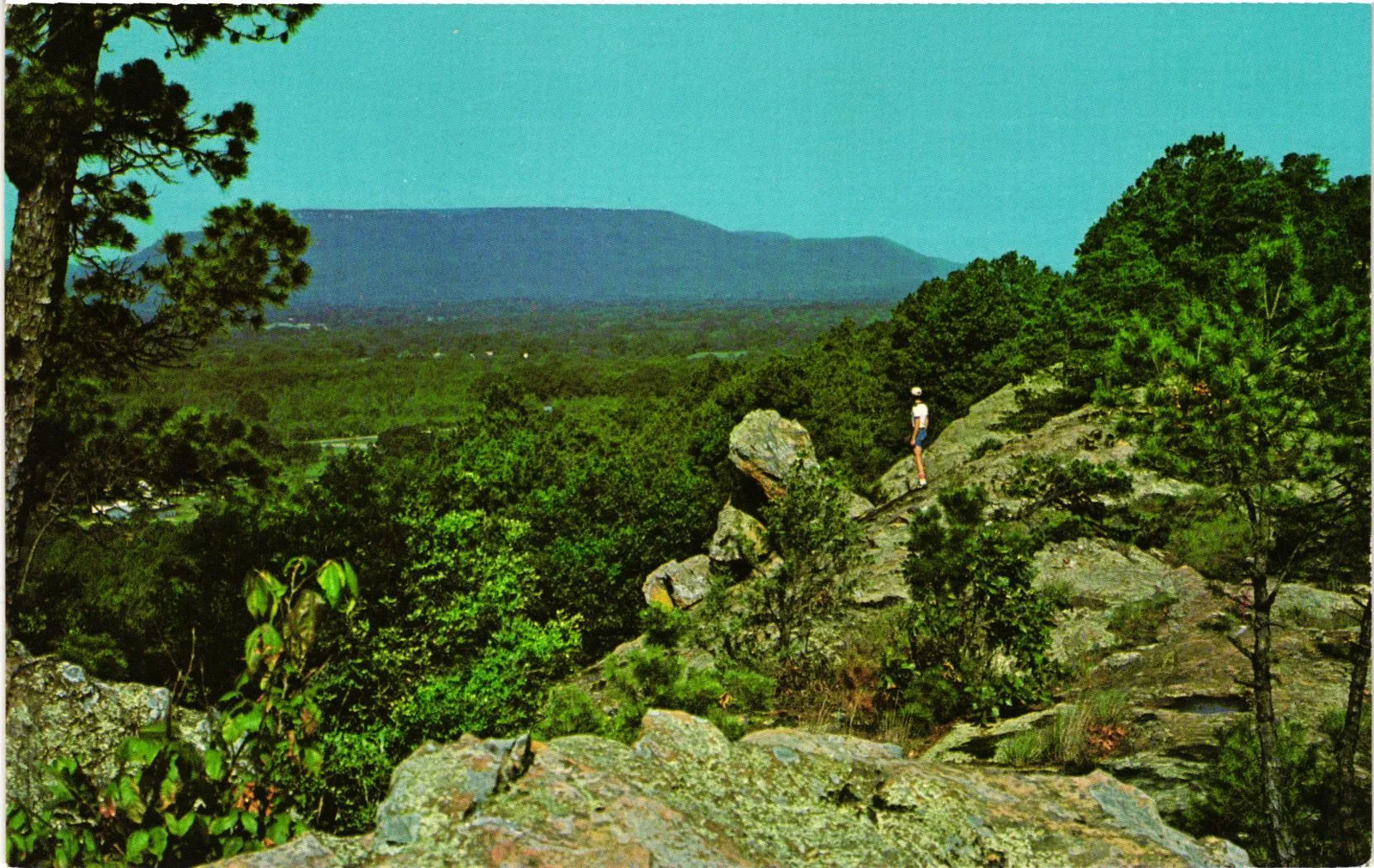 Vintage Postcard- Mount Nebo, AR 1960s