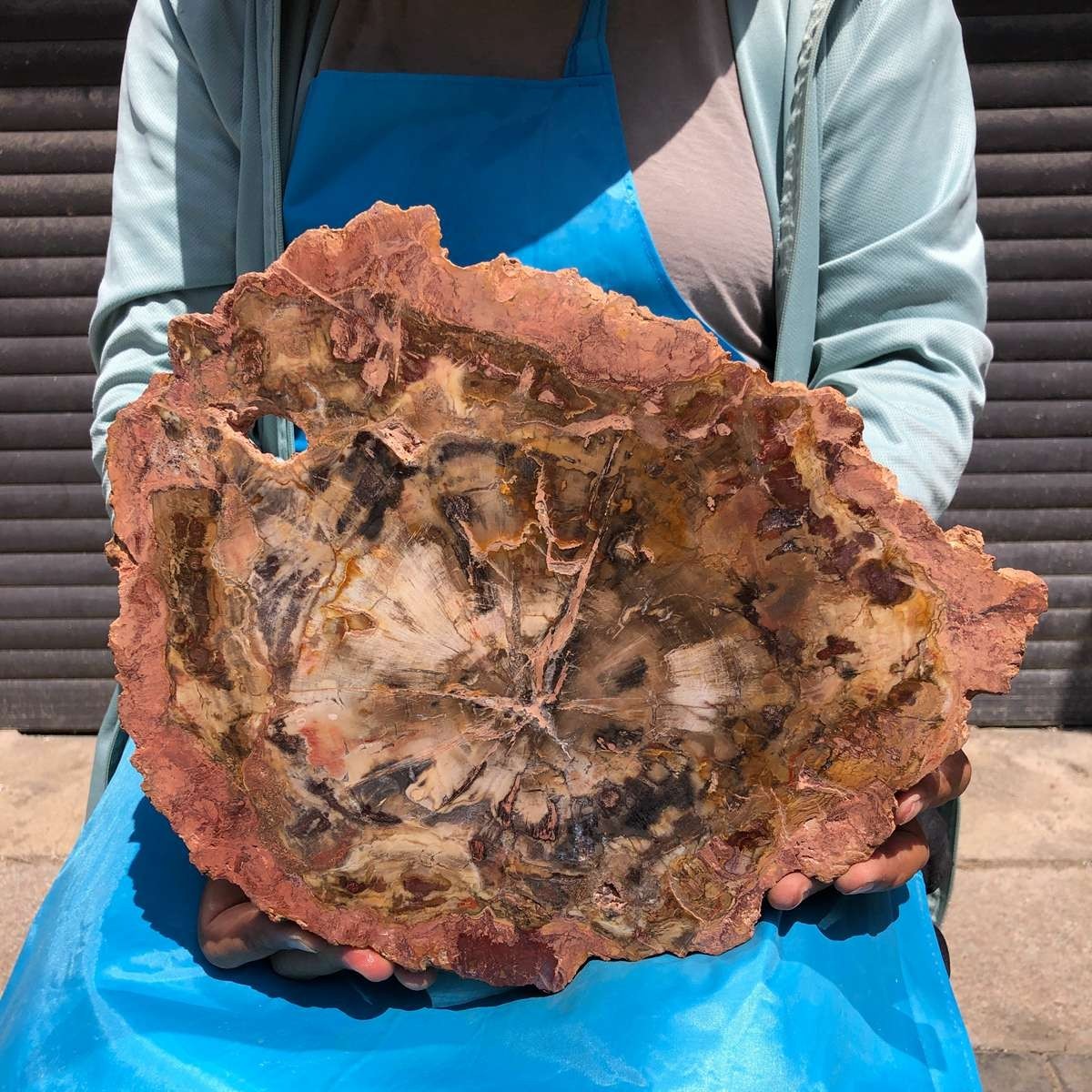 4.59LB Natural Petrified Wood Crystal Fossil Slice Crystal Specimen Healing 6408