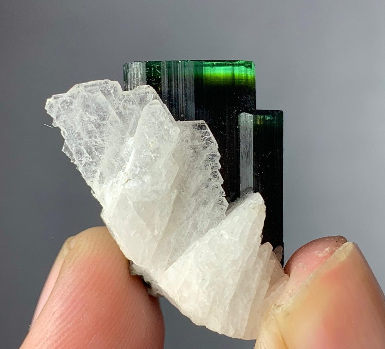 45 Carat Beautiful Green Cap Tourmaline Crystal From Afghanistan