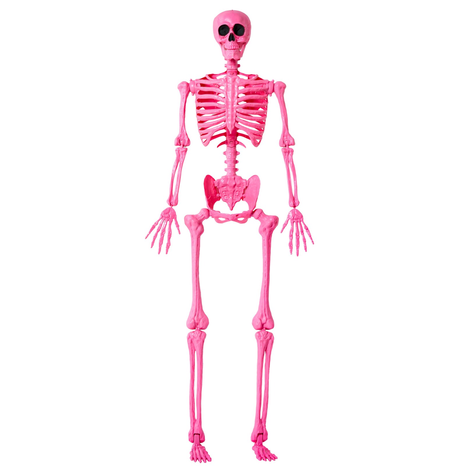 JOYIN 5 FT Halloween Skeleton Life Size, Stayable Posable Pink Skeleton Decor, F