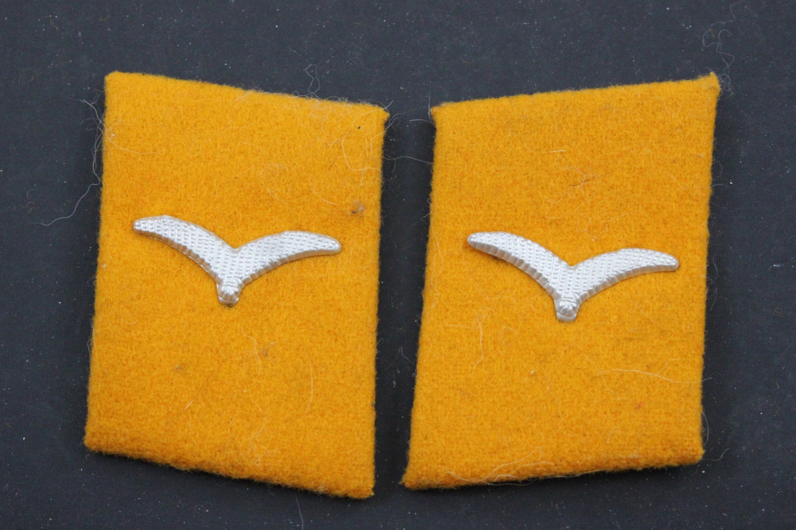 Pair of German WWII Luftwaffe Flight / Paratrooper Fallschirmjager