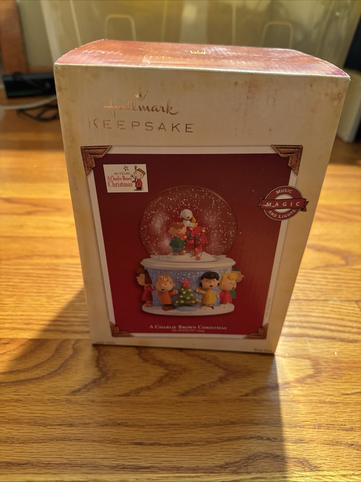 2005 Hallmark A Charlie Brown Christmas PEANUTS GANG Music+Lights Up Snow Globe