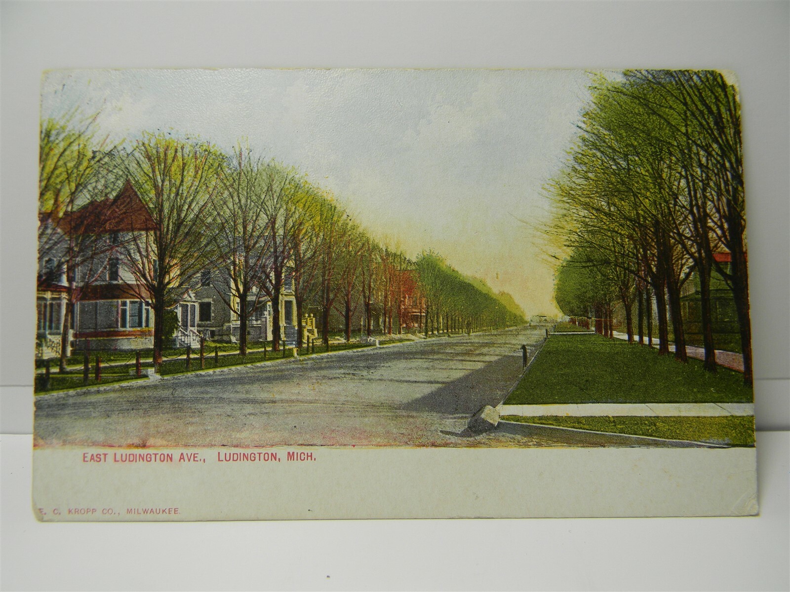 Vintage c 1910 East Ludington Ave Street View Ludington Mi. Postcard P19