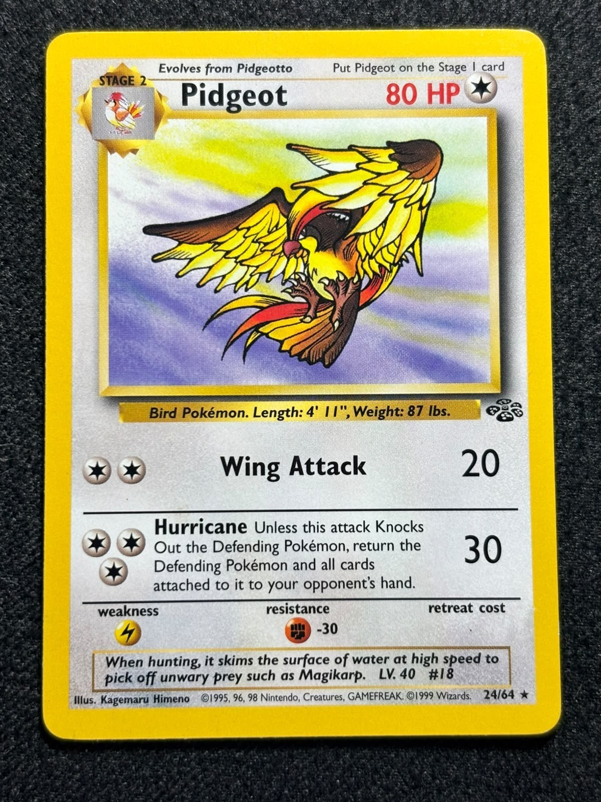 Pidgeot 24/64 Pokemon Card 1999 Jungle Set Non Holo Rare Vintage WOTC LP