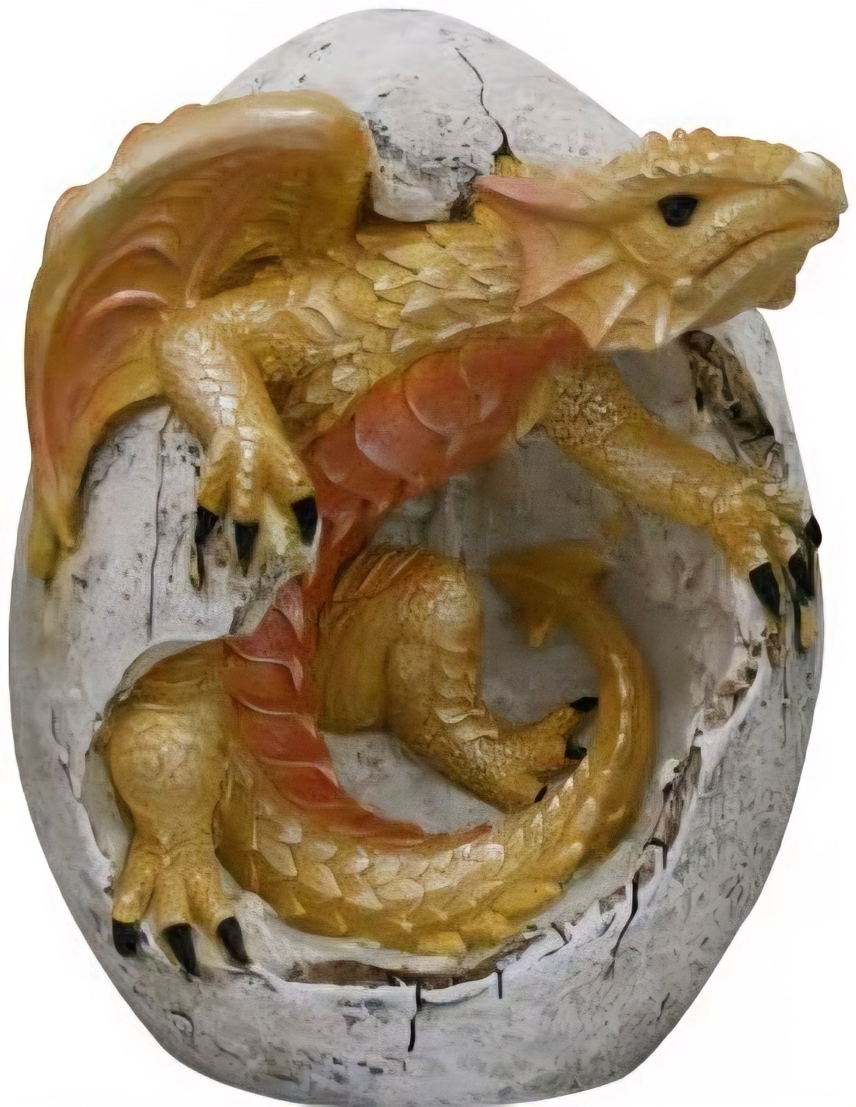 Yellow Dragon Hatchling in Egg Casing Statue Figurine 4.75 Inch Resin New 