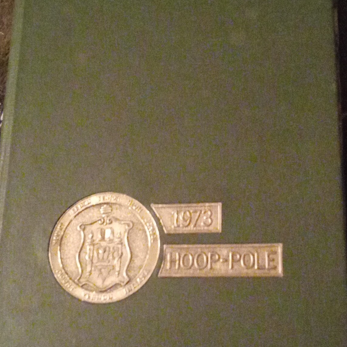 1973 Yearbook Mt. Mount Vernon High School IN With Great Photos & No Writing