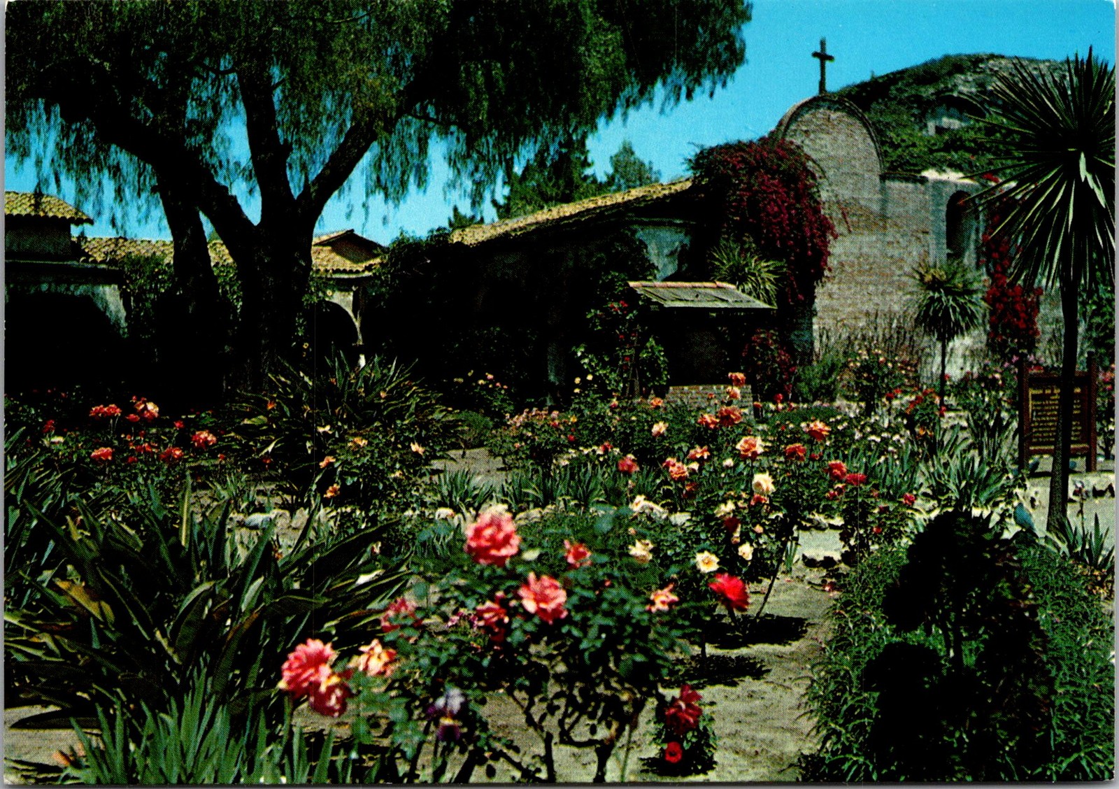 Mission San Juan Capistrano Bell Wall Rose Garden CA Vintage Postcard 5P21-27