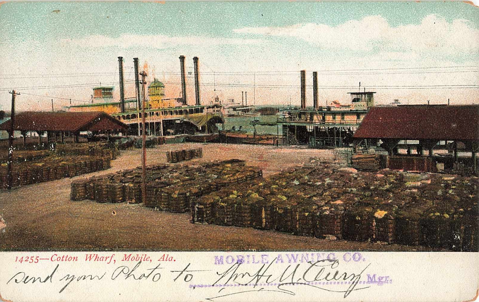 Postcard Mobile Alabama Ala Cotton Wharf UDB Antique c1905