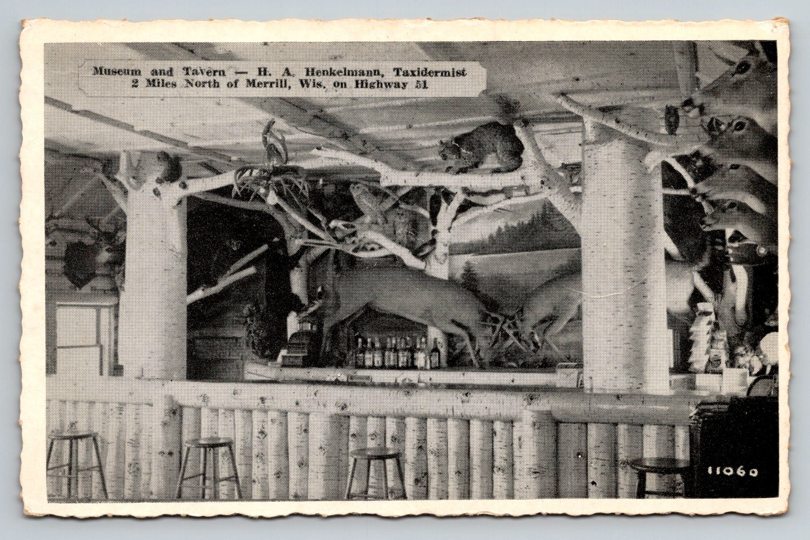 Merrill Wisconsin Taxidermy Museum Tavern WI Postcard