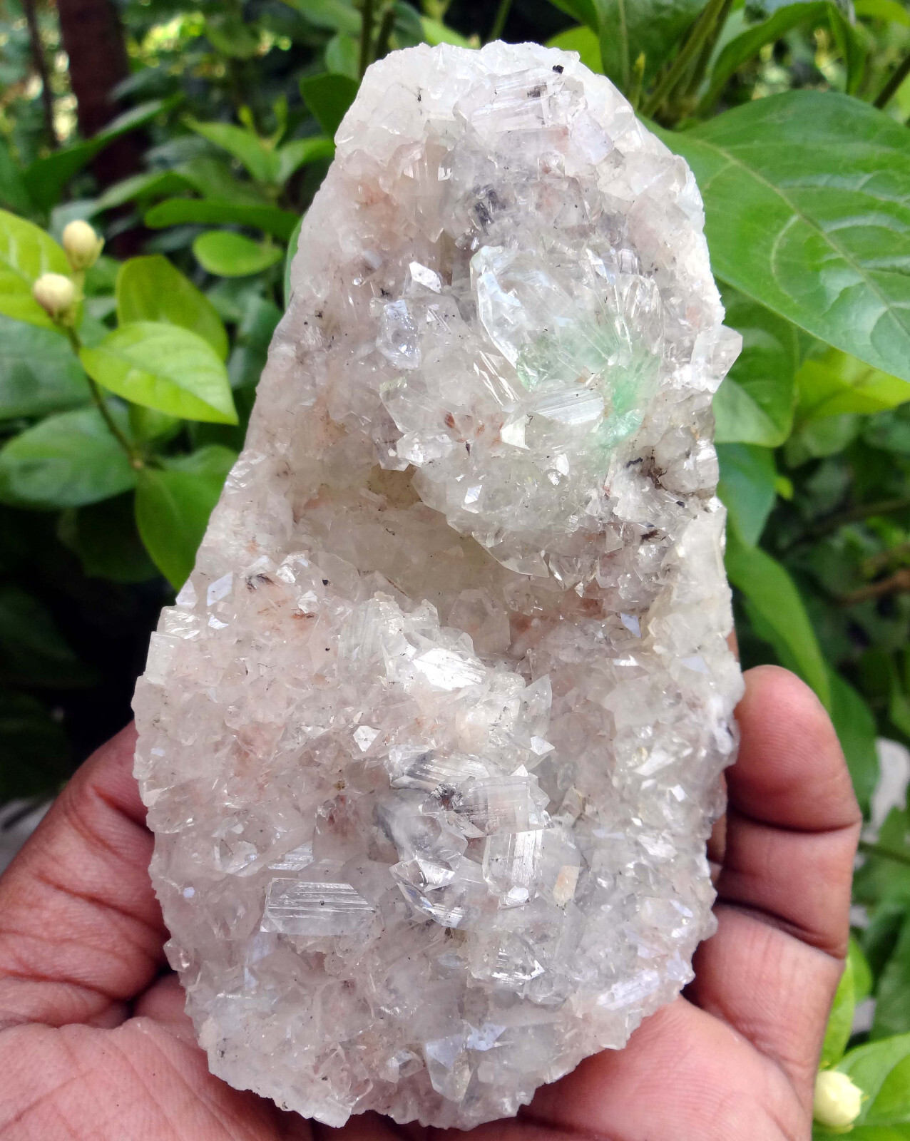 apophyllite crystals & matrix minerals specimen o-10
