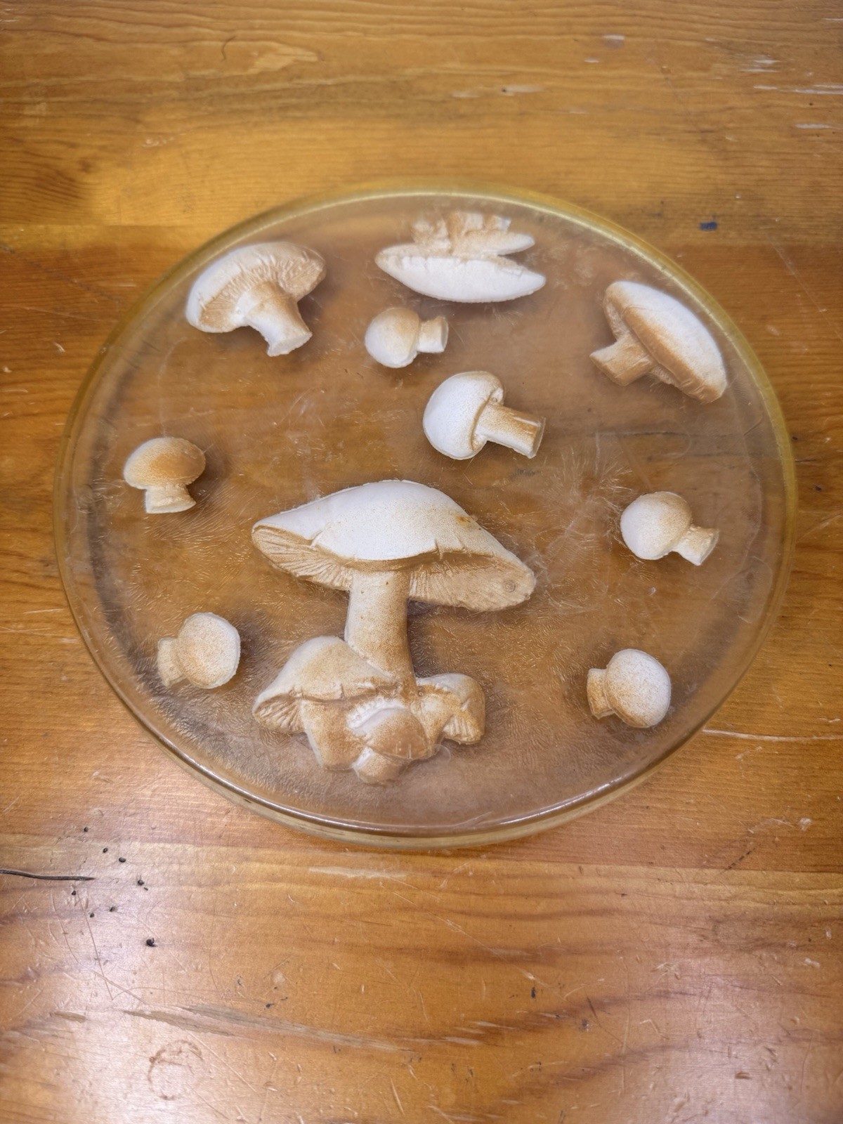 VTG RARE Mushroom Trivet 1960s Hot Plate Decor Lucite