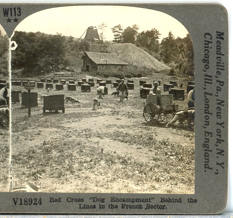 WW1, Red Cross Dog Encampment, Behind Lines, France-Keystone Stereoview W113