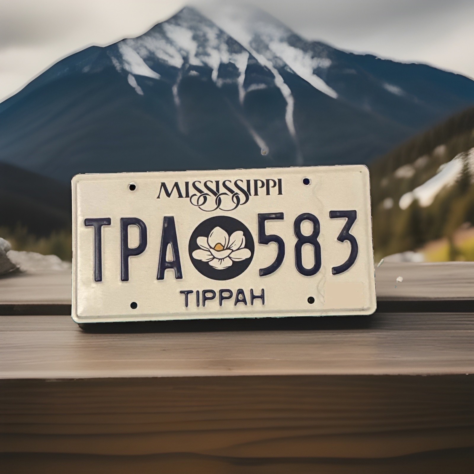 2020s Mississippi Magnolia License Plate TPA 583 Tippah County