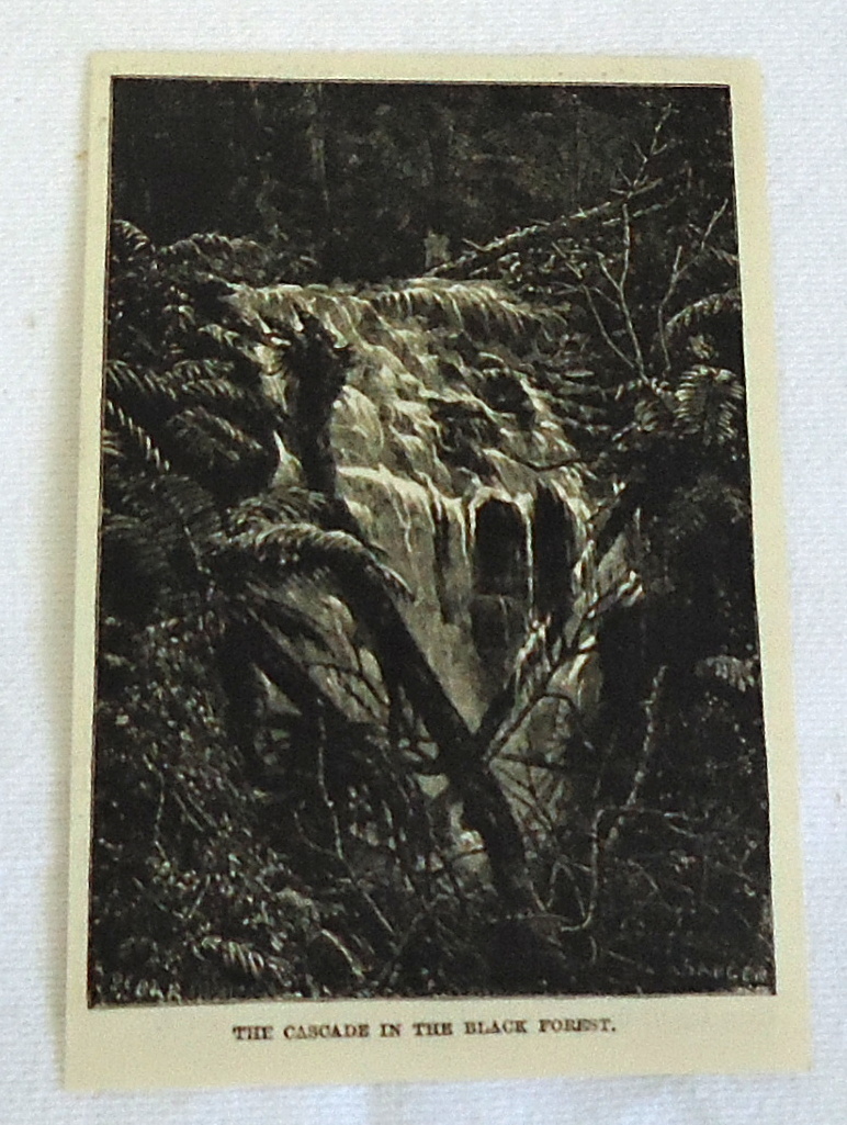 1883 magazine engraving ~ THE CASCADE IN THE BLACK FOREST, Germany
