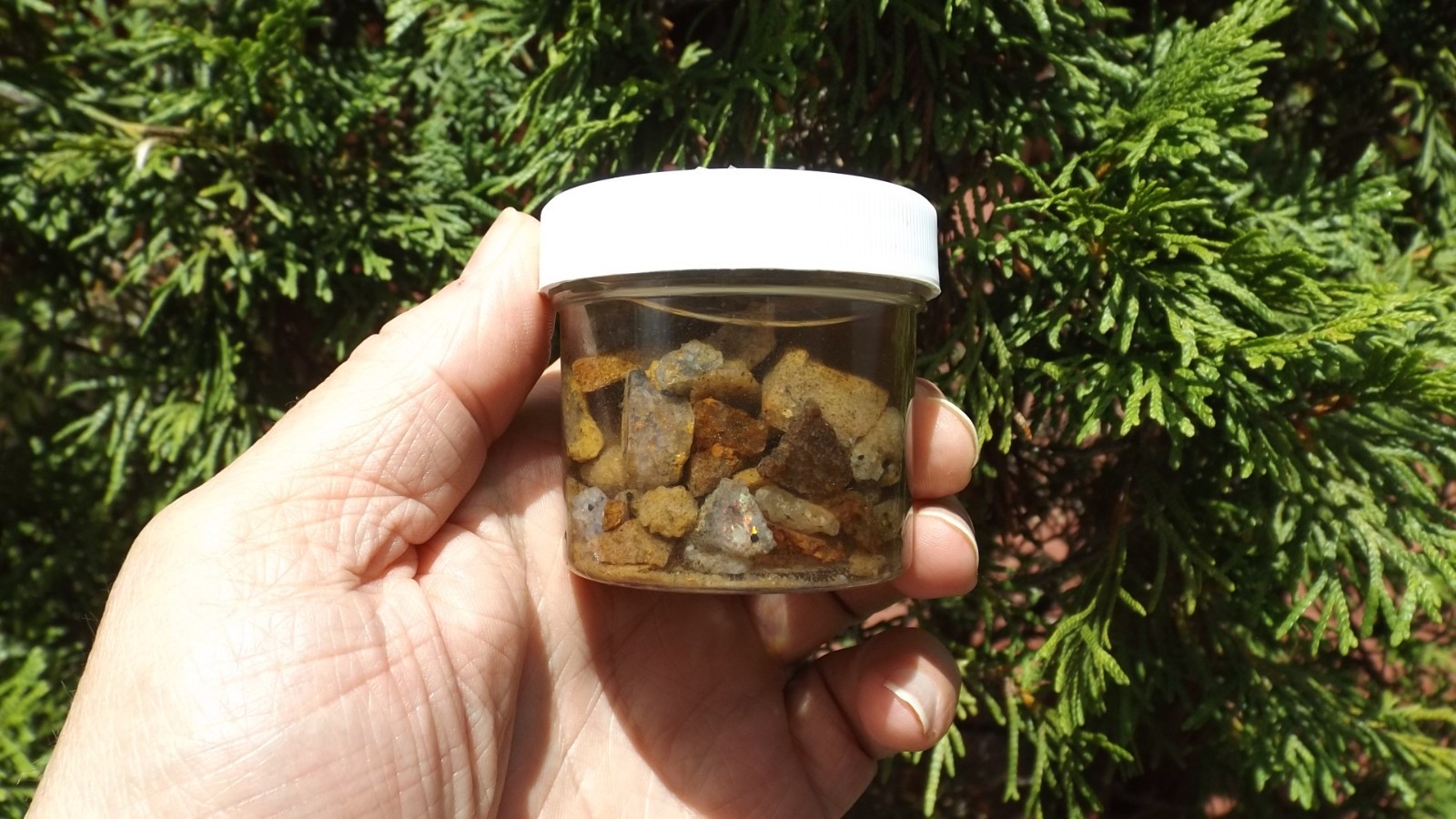 300+cts Lot Very Rare Louisiana Sand Opal Scrap Rough  Gemstone Specimens