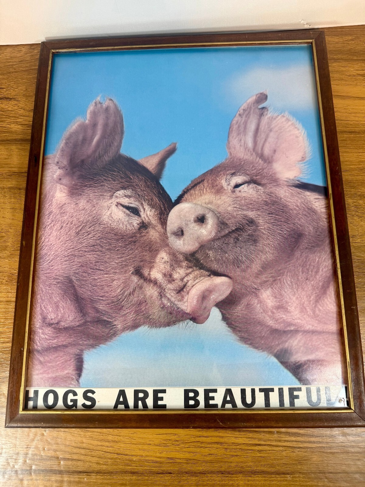 Vintage “Hogs Are Beautiful” Pig Poster – Framed Farmhouse/Folk Art