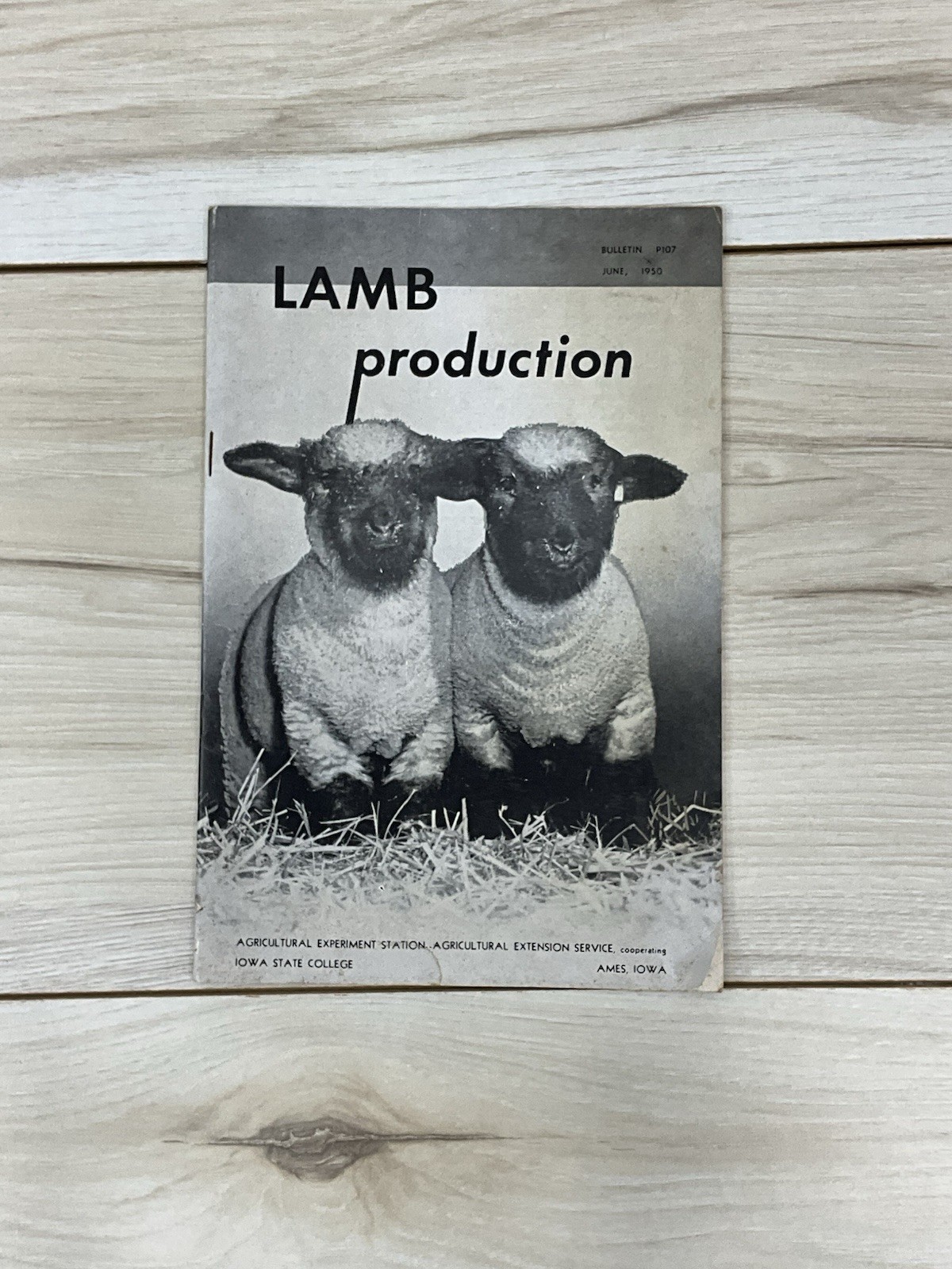 1950 Lamb Production Bulletin P107 Iowa State College Sheep Farming Guide