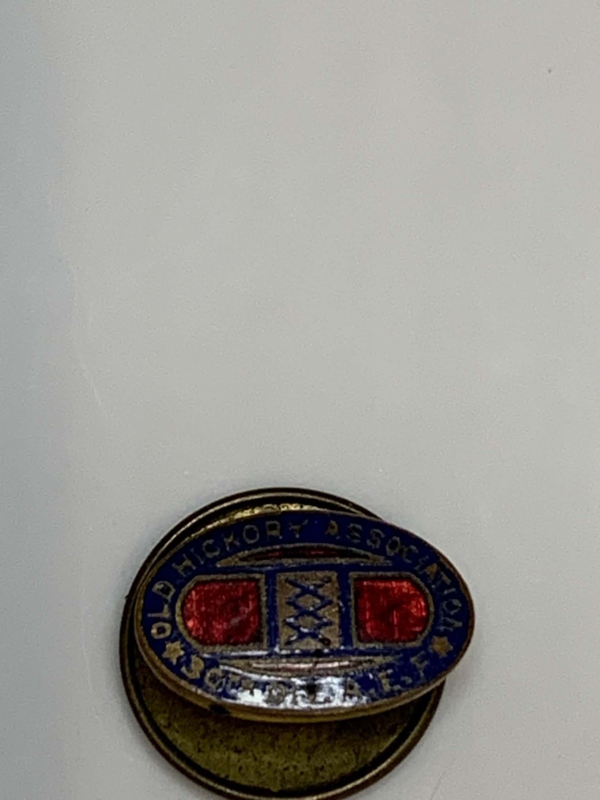 Original WW1 US Army 30th Division Veteran's Pin