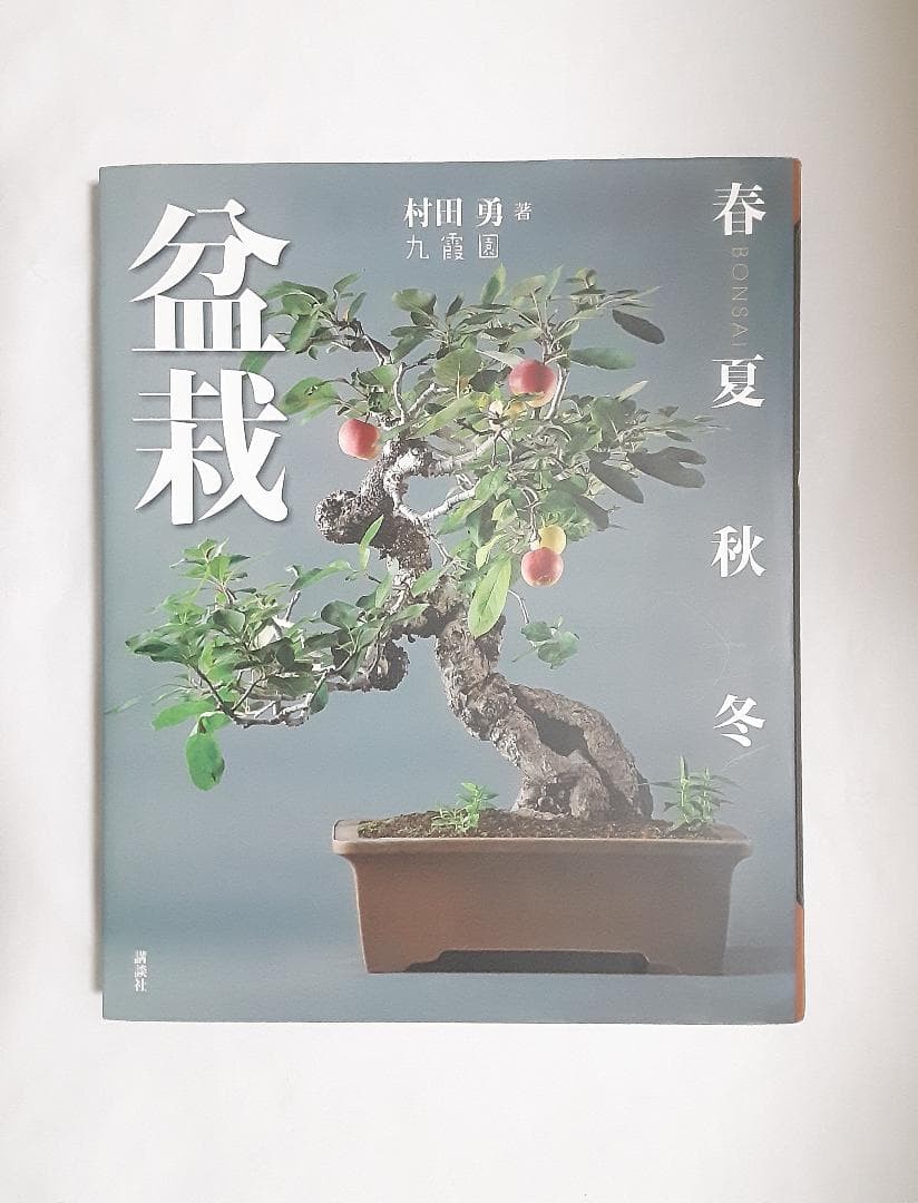 Bonsai Spring Summer Fall Winter