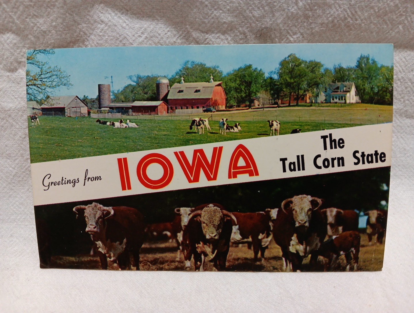 Hello From Iowa-Where The Tall Corn Grows