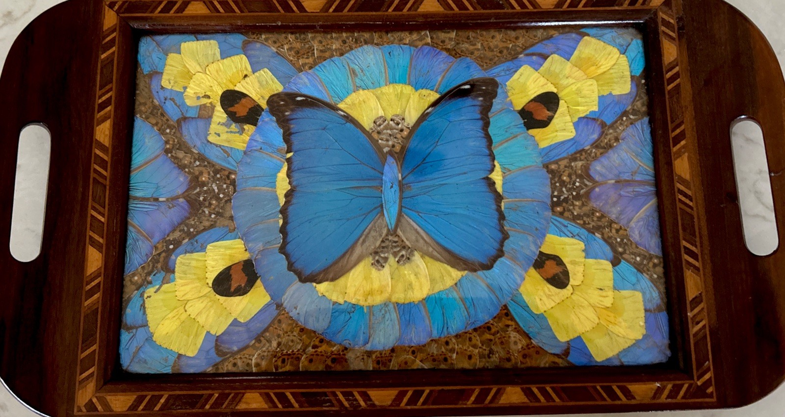 Beautiful Vintage Butterfly Wings Art Wood inlay, Santos Brazil, Casa ABC