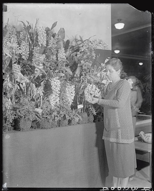 Mrs W K Dupont of Wilmington Delaware with her collection of or- 1928 Old Photo