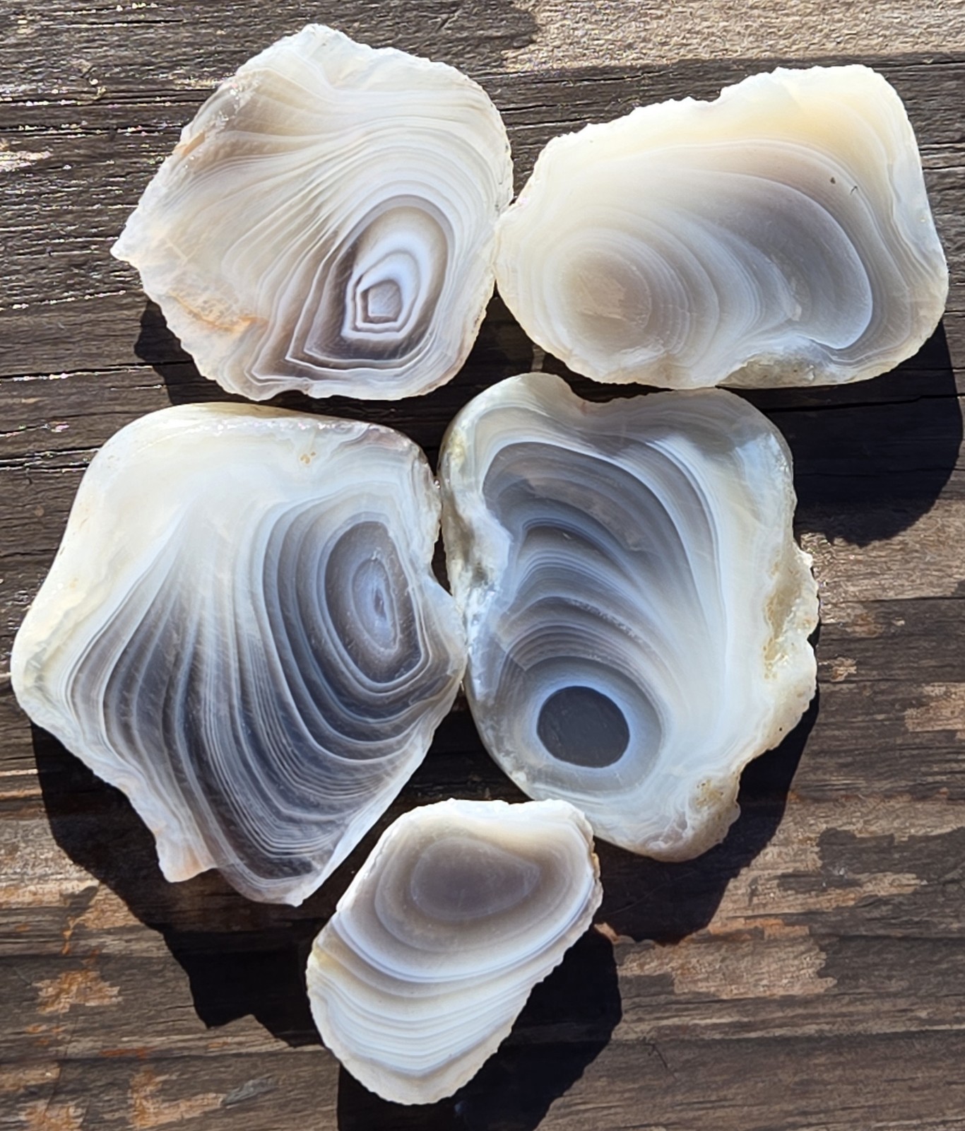 Botswana Agate Cut In Five Slices - Rough, Natural, Not Polished
